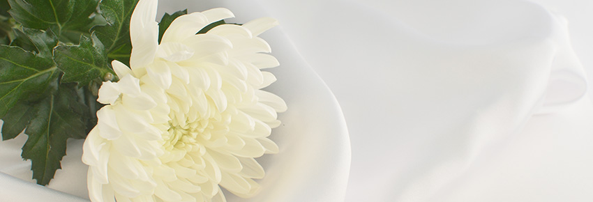 お供え・お悔やみごと