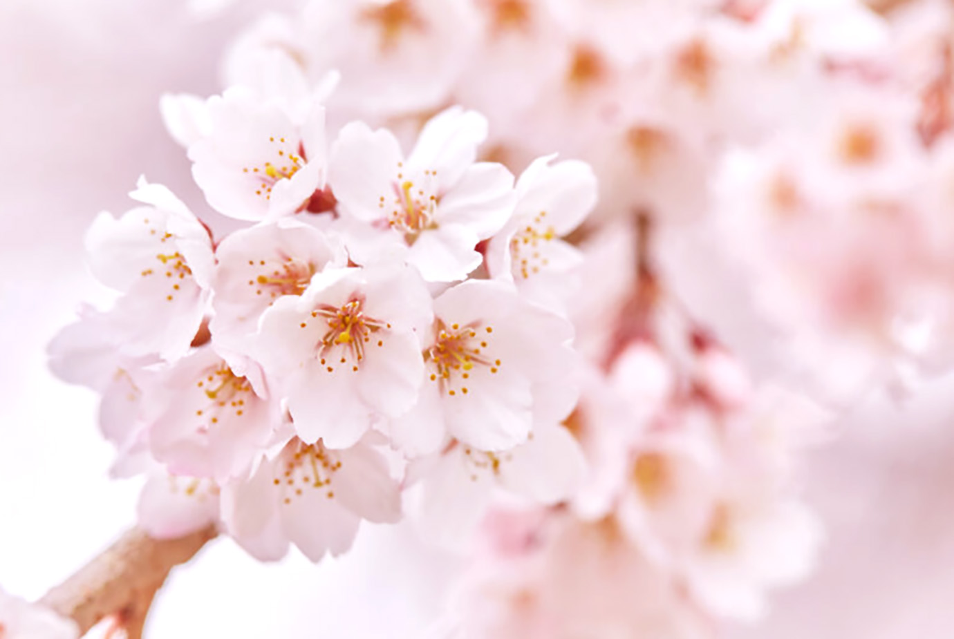 季節のおすすめ